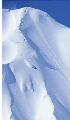 Glissade Snowboards / Monty Hays